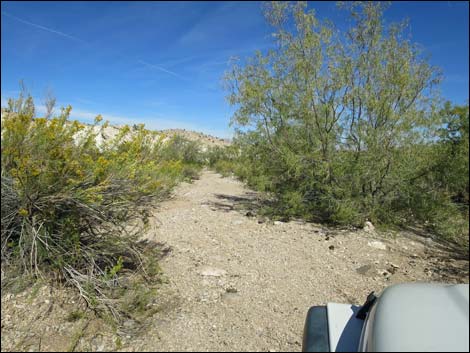 Horse Spring Road