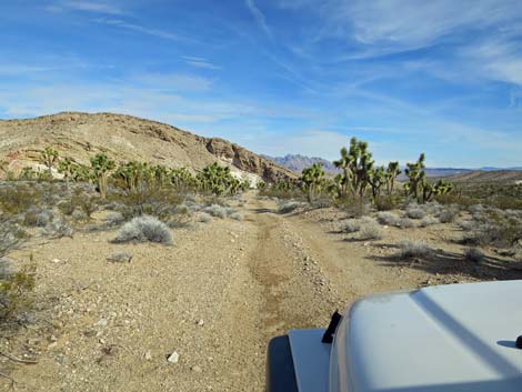 Horse Spring Road