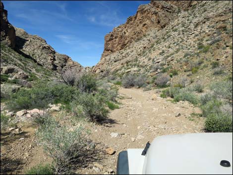 Lime Canyon Road