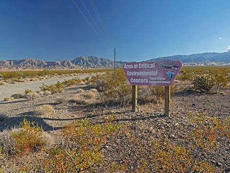 Lime Kiln Canyon Road