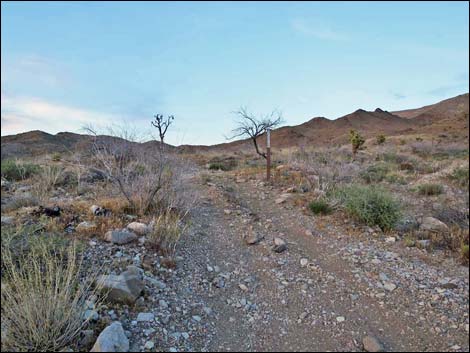 Lincoln Mine Road