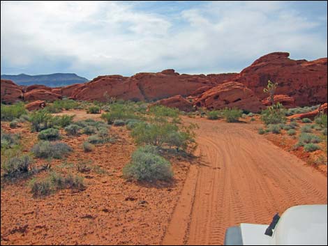 Mud Wash Dunes Road