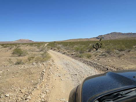 Mud Wash Road