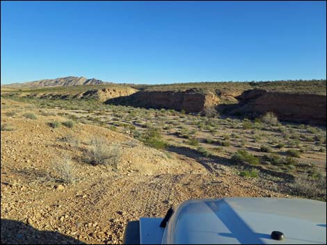 Narrows Road North