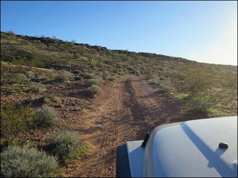 Narrows Road North