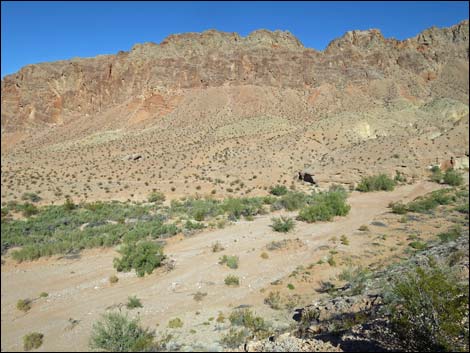 Red Bluff Spring Overlook Road