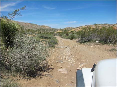 Red Bluff Spring Road