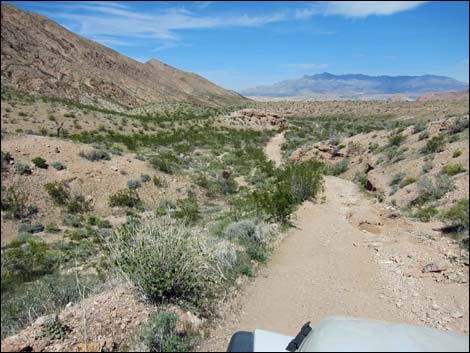 Red Bluff Spring Road