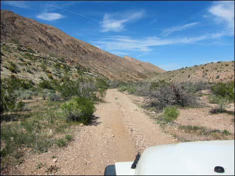 Red Bluff Spring Road