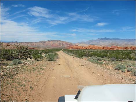 Red Bluff Spring Road