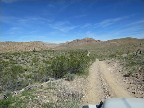 Red Bluff Spring Road