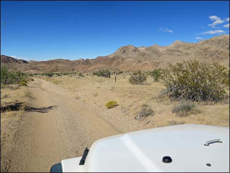 Red Bluff Spring Road