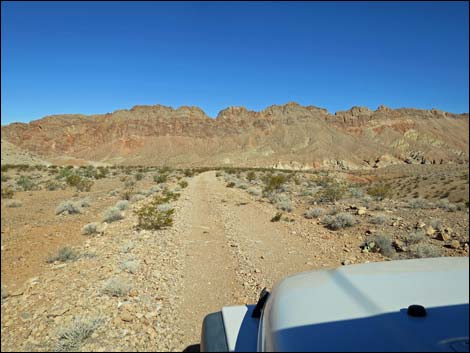 Red Bluff Spring Road