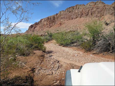 Red Bluff Spring Road