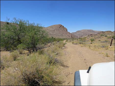 Red Bluff Spring Road