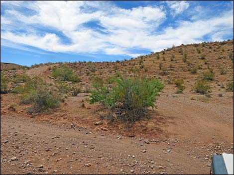 Red Bluff Spring Road