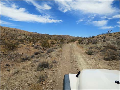 Red Bluff Spring Road