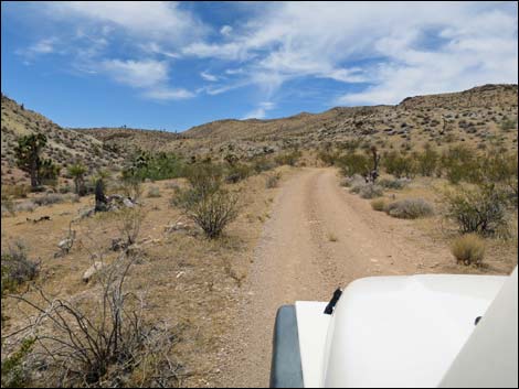 Red Bluff Spring Road