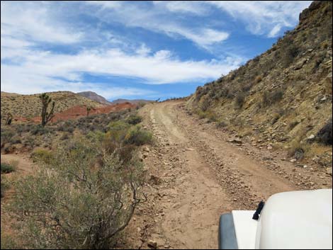 Red Bluff Spring Road