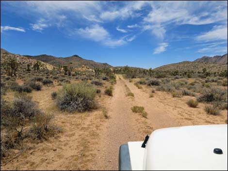 Red Bluff Spring Road