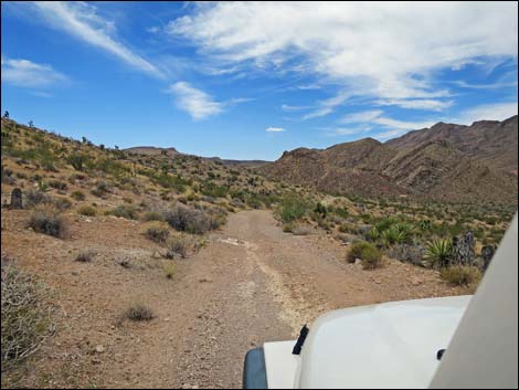 Red Bluff Spring Road