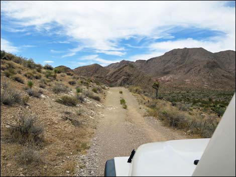 Red Bluff Spring Road