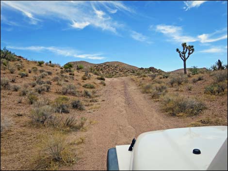 Red Bluff Spring Road