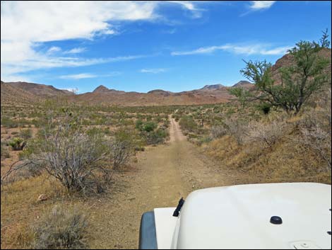 Red Bluff Spring Road