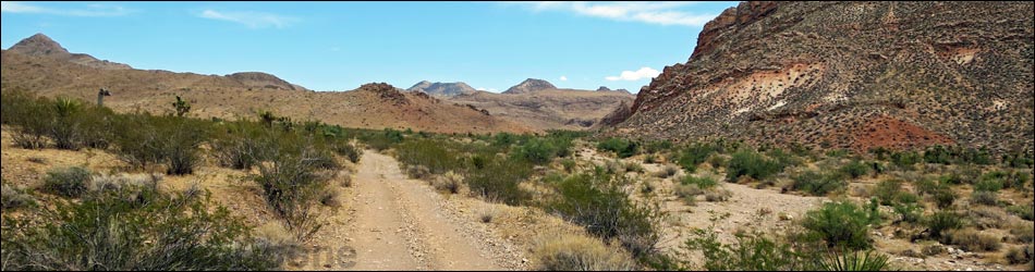 Red Bluff Spring Road