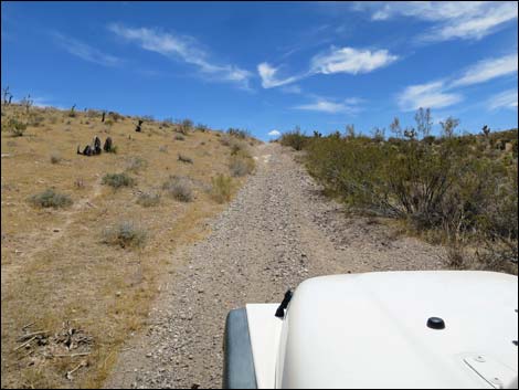 Red Bluff Spring Road