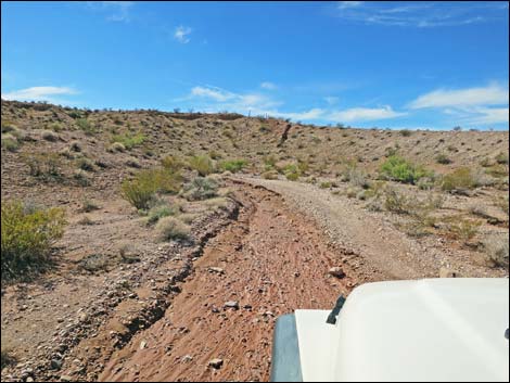 Red Bluff Spring Road