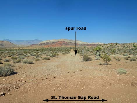 St. Thomas Gap Road