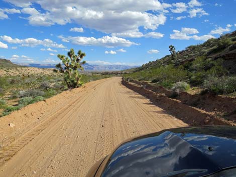 St Thomas Gap Road