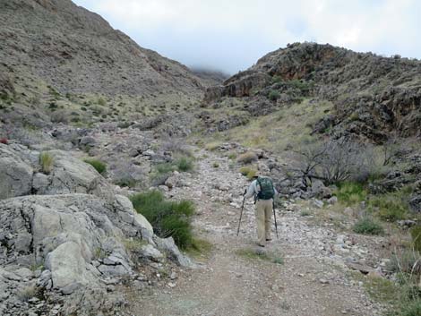 Tramp Mine Road