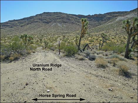 Uranium Ridge Road