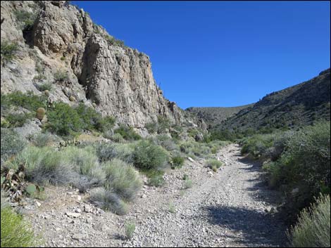 Virgin Peak Road