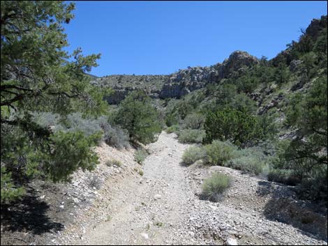 Virgin Peak Road