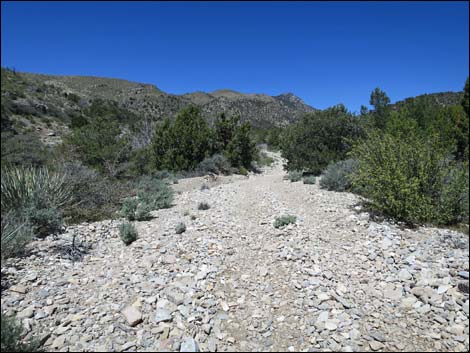 Virgin Peak Road