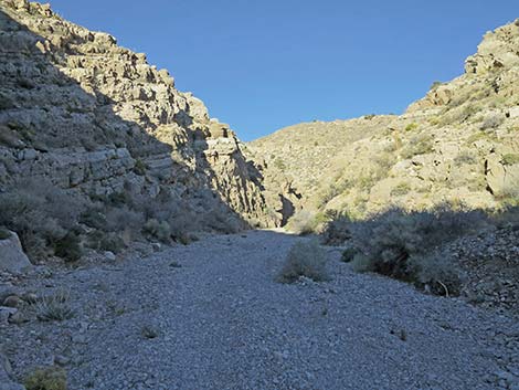 Virgin Peak Road