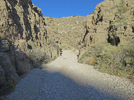 Virgin Peak Road