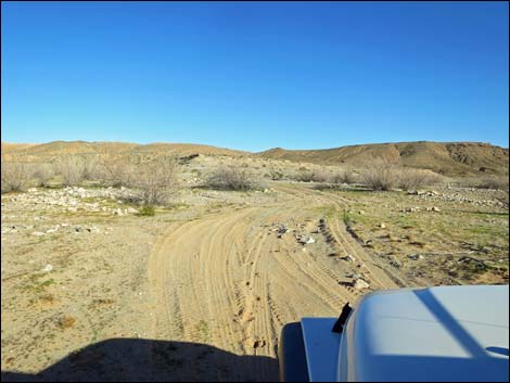 Virgin River Landing Road