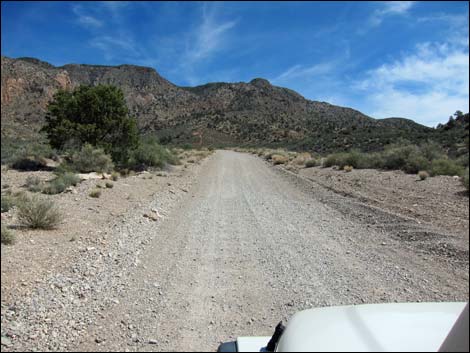 Whitney Pass Road