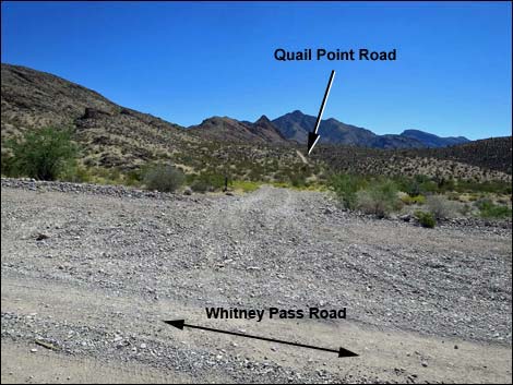 Whitney Pass Road