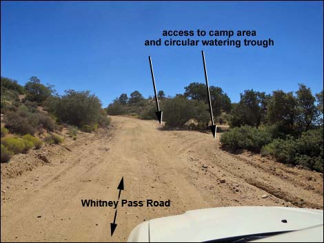 Whitney Pass Road