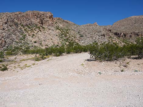 Whitney Pass Road