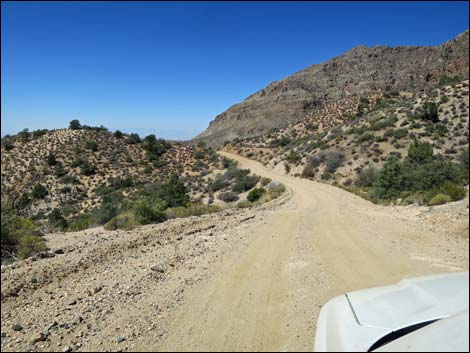 Whitney Pass Road