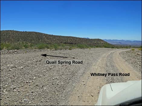 Whitney Pass Road