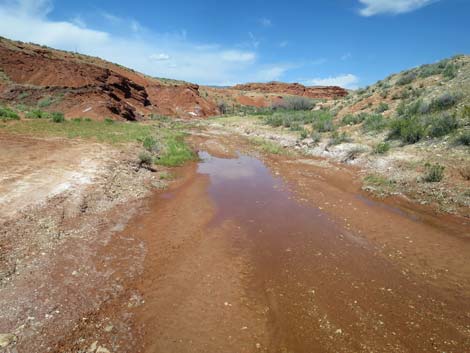 Red Rock Springs