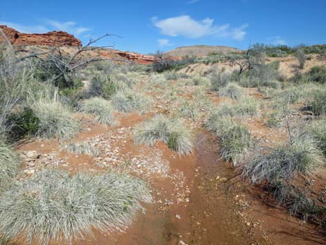 Red Rock Springs