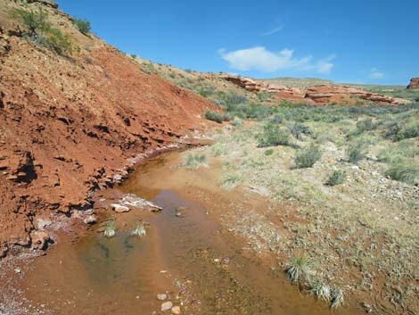 Red Rock Springs